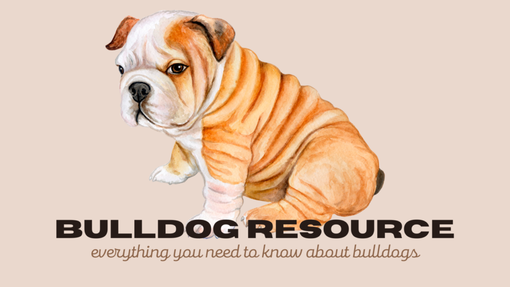 bulldog resource banner blog